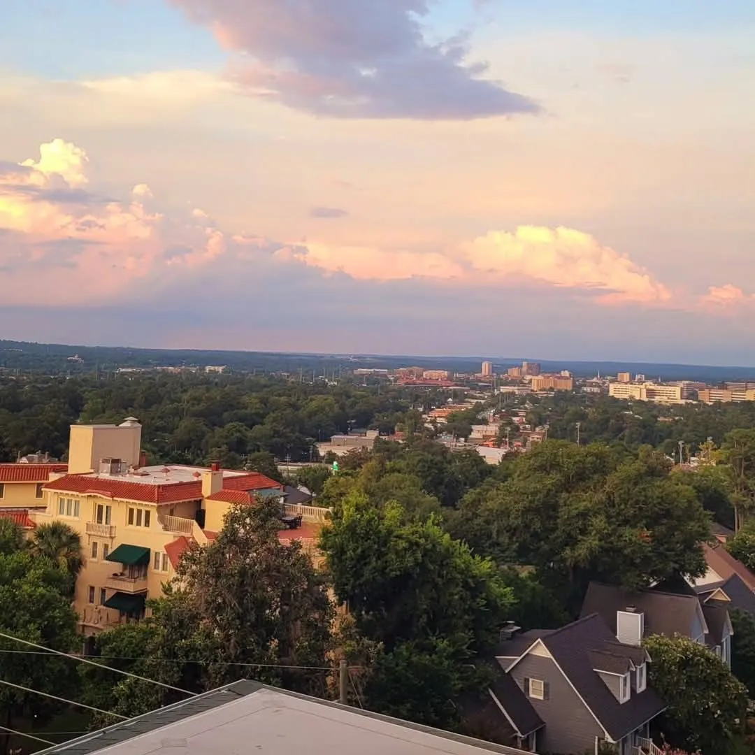 Elevated rooftop view of a residential neighborhood with red-tile roof buildings, dense green tree canopy, and a distant city skyline under, Augusta, GA